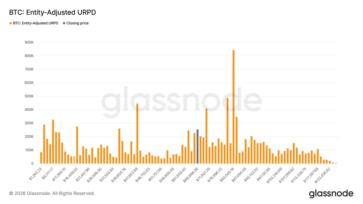 Bitcoin Accumulation Returns as Buyers Add Nearly 260,000 BTC