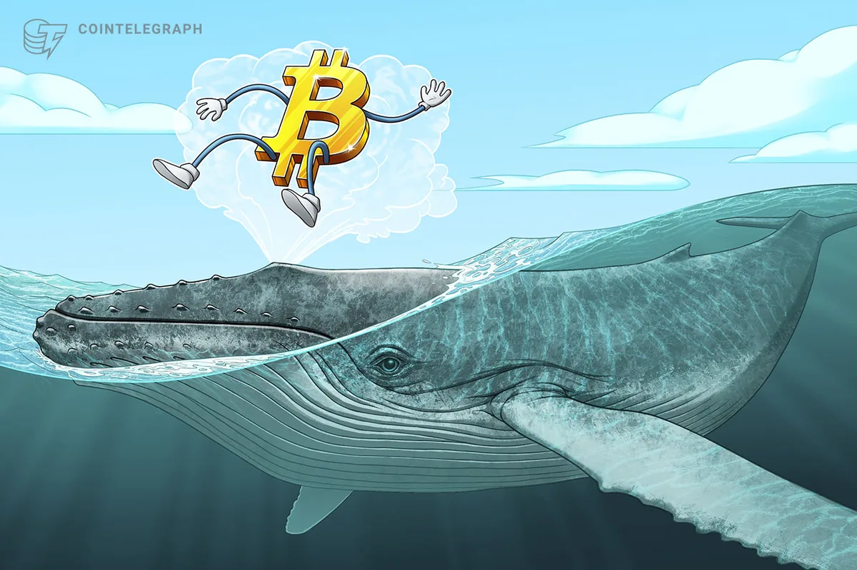 Bitcoin, 50 bin BTC’nin zararla borsalara taşınmasıyla yeni satış baskısı riskiyle karşı karşıya