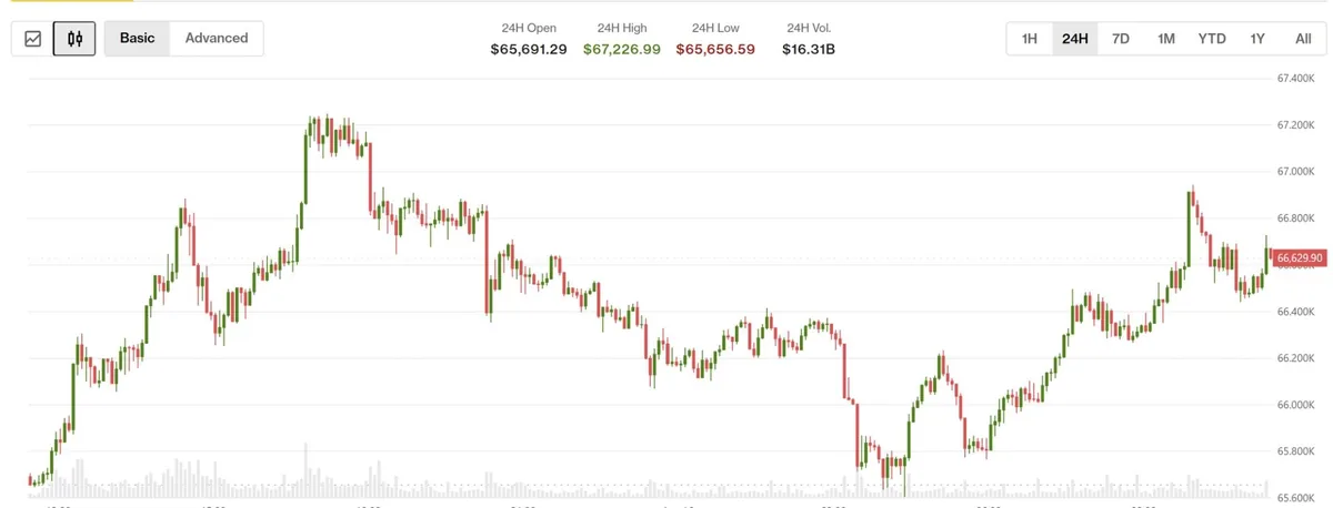 Bitcoin Rises as Traders Rebuild Risk After Japan Rate Hike