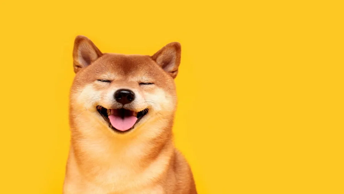 Shiba Inu, Güney Koreli yatırımcıların etkisiyle %36 yükseldi