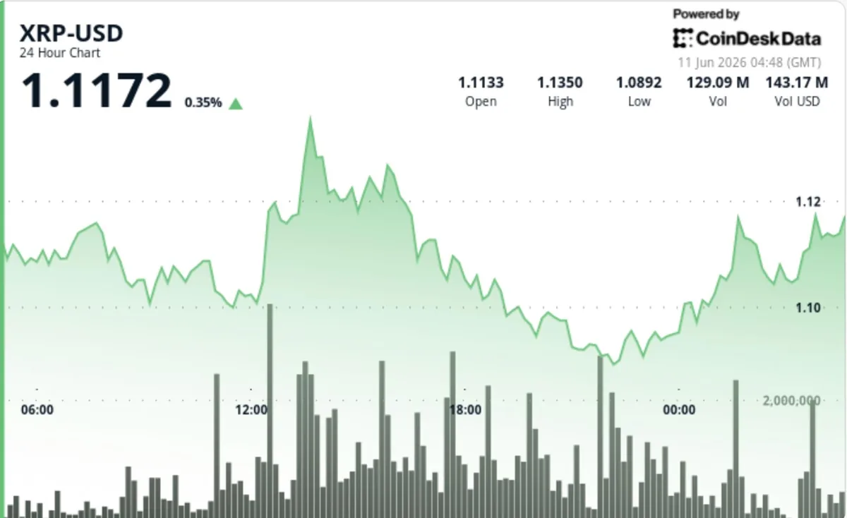 XRP 1,10 Doların Üzerinde Tutundu, Ancak Piyasa Temkinli